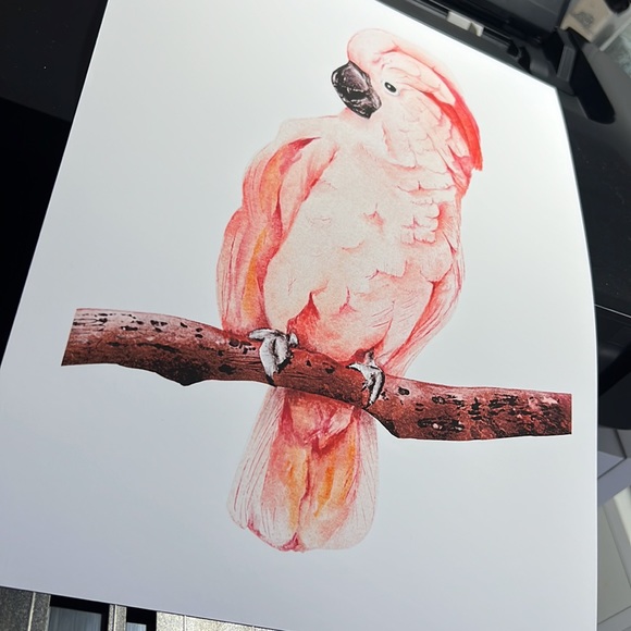 Wall Art Tropical Bird Portrait Print Unframed - Picture 15 of 15